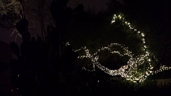 thatasianlookingchick.com-DBGLuminarias_11