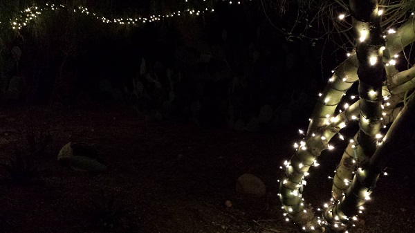 thatasianlookingchick.com-DBGLuminarias_12