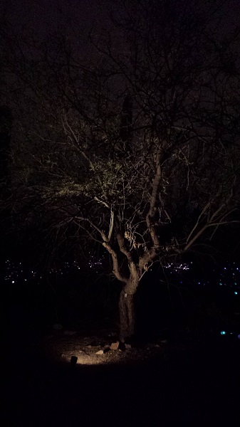 thatasianlookingchick.com-DBGLuminarias_13