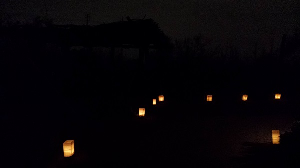 thatasianlookingchick.com-DBGLuminarias_16