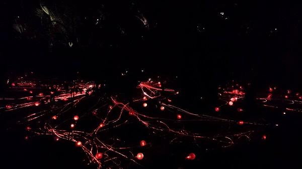 thatasianlookingchick.com-DBGLuminarias_21