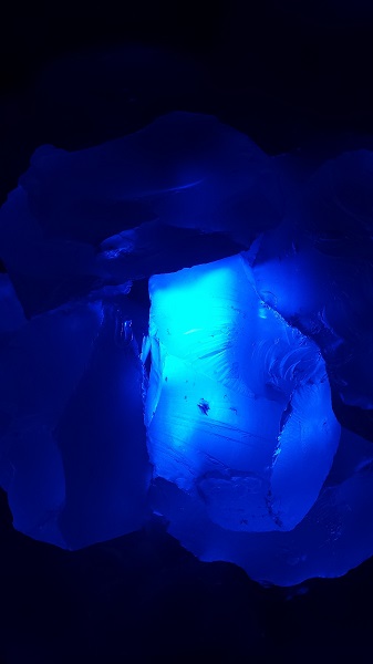 thatasianlookingchick.com-DBGLuminarias_22