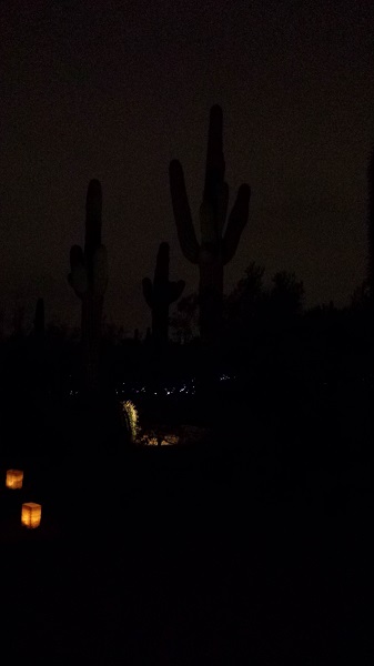 thatasianlookingchick.com-DBGLuminarias_26