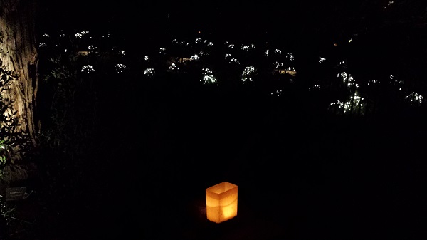 thatasianlookingchick.com-DBGLuminarias_28