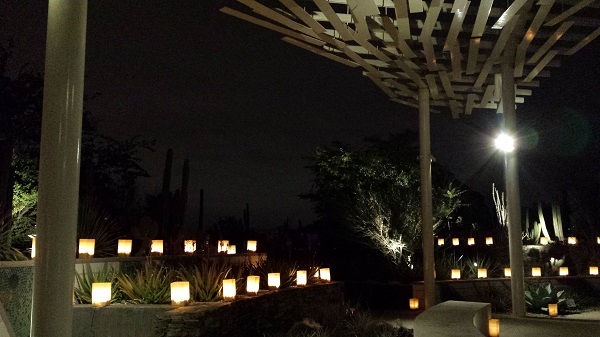 thatasianlookingchick.com-DBGLuminarias_3