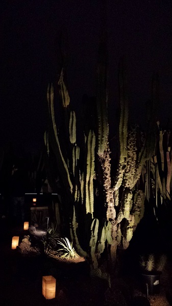 thatasianlookingchick.com-DBGLuminarias_6