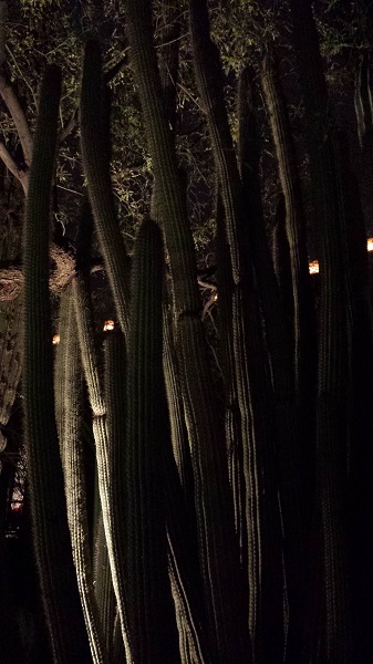 thatasianlookingchick.com-DBGLuminarias_8