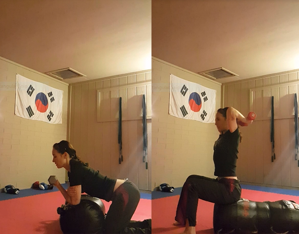 Bicep curls on the left, tricep skullcrushers on the right (not really skullcrushers if you're not lying down, but for lack of a better term...).