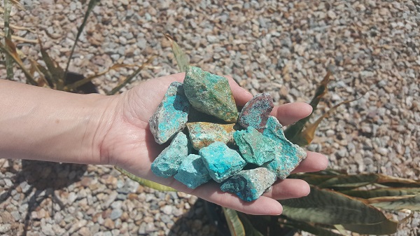 Rocks masquerading as turquoise mixed throughout the gravel in our backyard