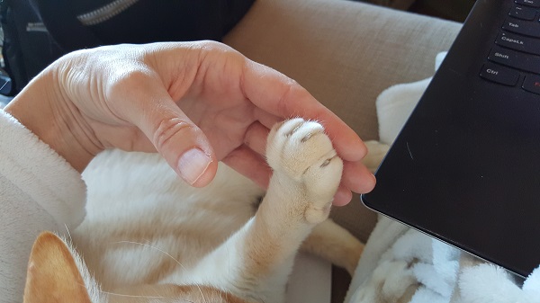 Nounours holding my hand is pretty much the sweetest thing ever.