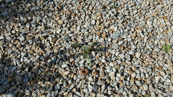 The donut on closer inspection...