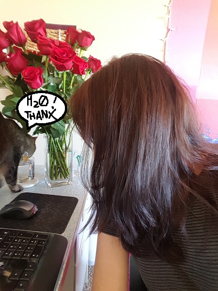 All the water is Nenette's water.