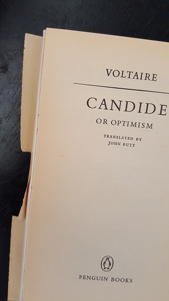 Candide, Voltaire's famous satire