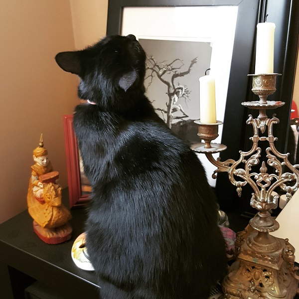 Cita exploring the mysteries of life on the table of death.