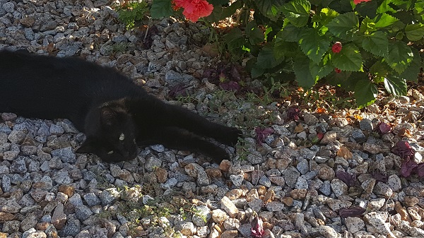 All of the shade, all of the time.