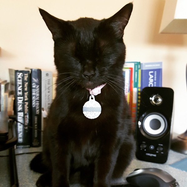 Before I moved my working set-up out to the dining room table...