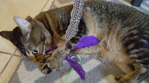 Rapping with her good-luck feathers on the mic.