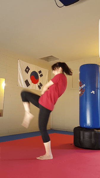 Reverse lunge to knee strike (knee - part 2)