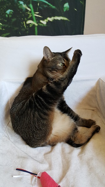 Mom! IS NOTHING SACRED?