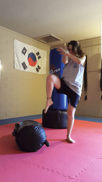 Checking (roundhouse defense)