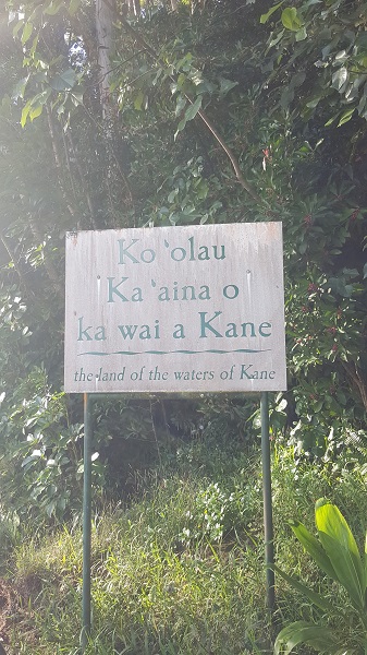Legend has it that the waters of Kane can heal disease and preserve youth