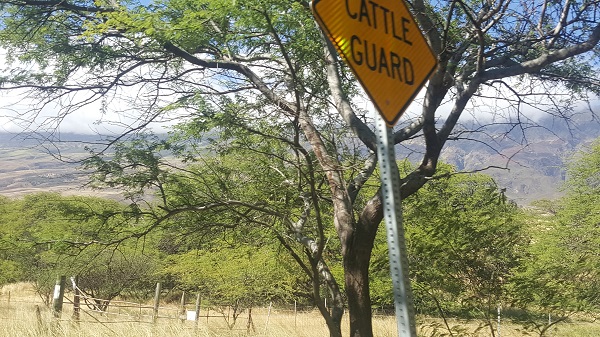 Coming back from Hana