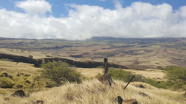 Not too many miles away from the rainforest!