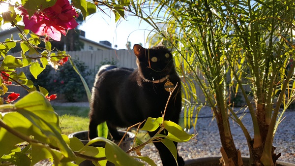 Cita reminds me of a cartoon character in this pic. I just can't think of which one.