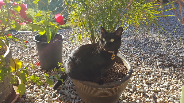 Plants are Cita's favorite things on earth.